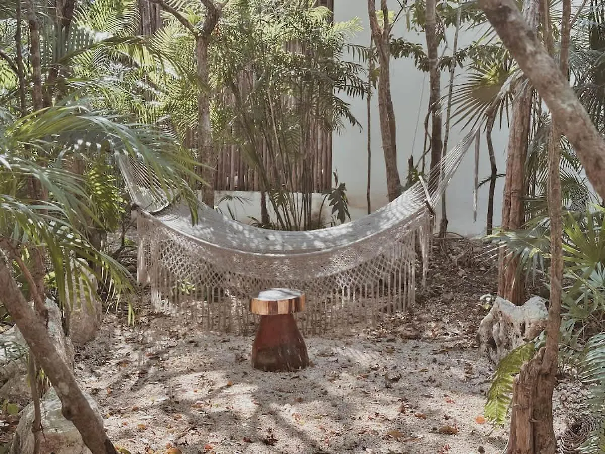 Private Parking Lot And Bbq Apartment Tulum